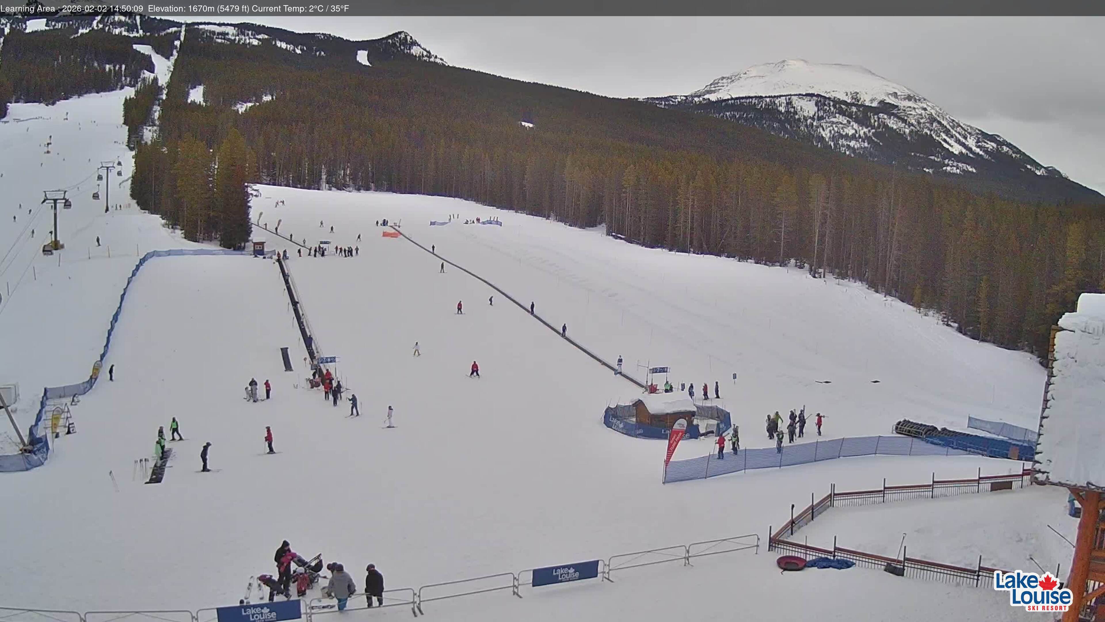 Learning Area & Tube Park