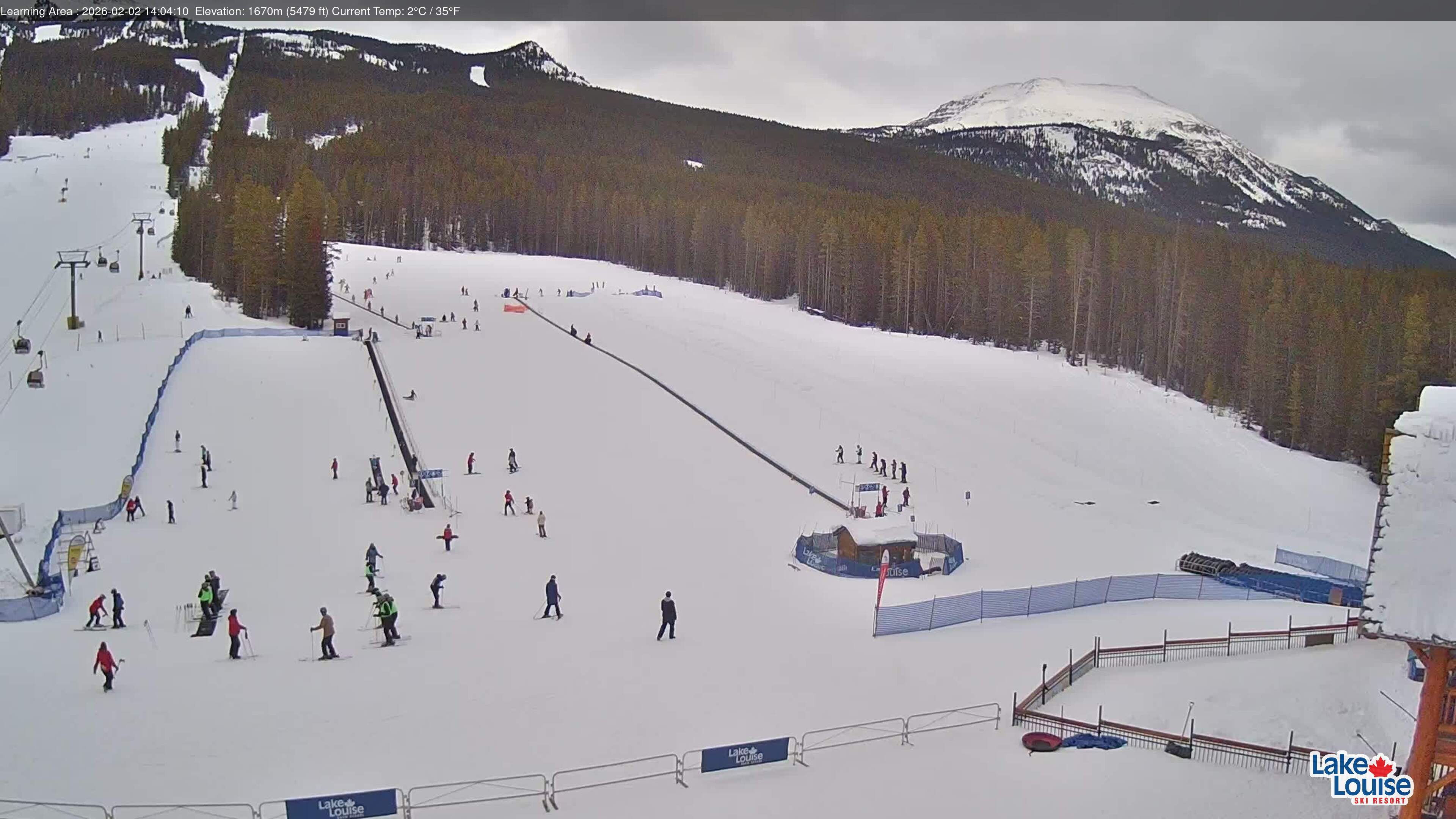 Learning Area & Tube Park