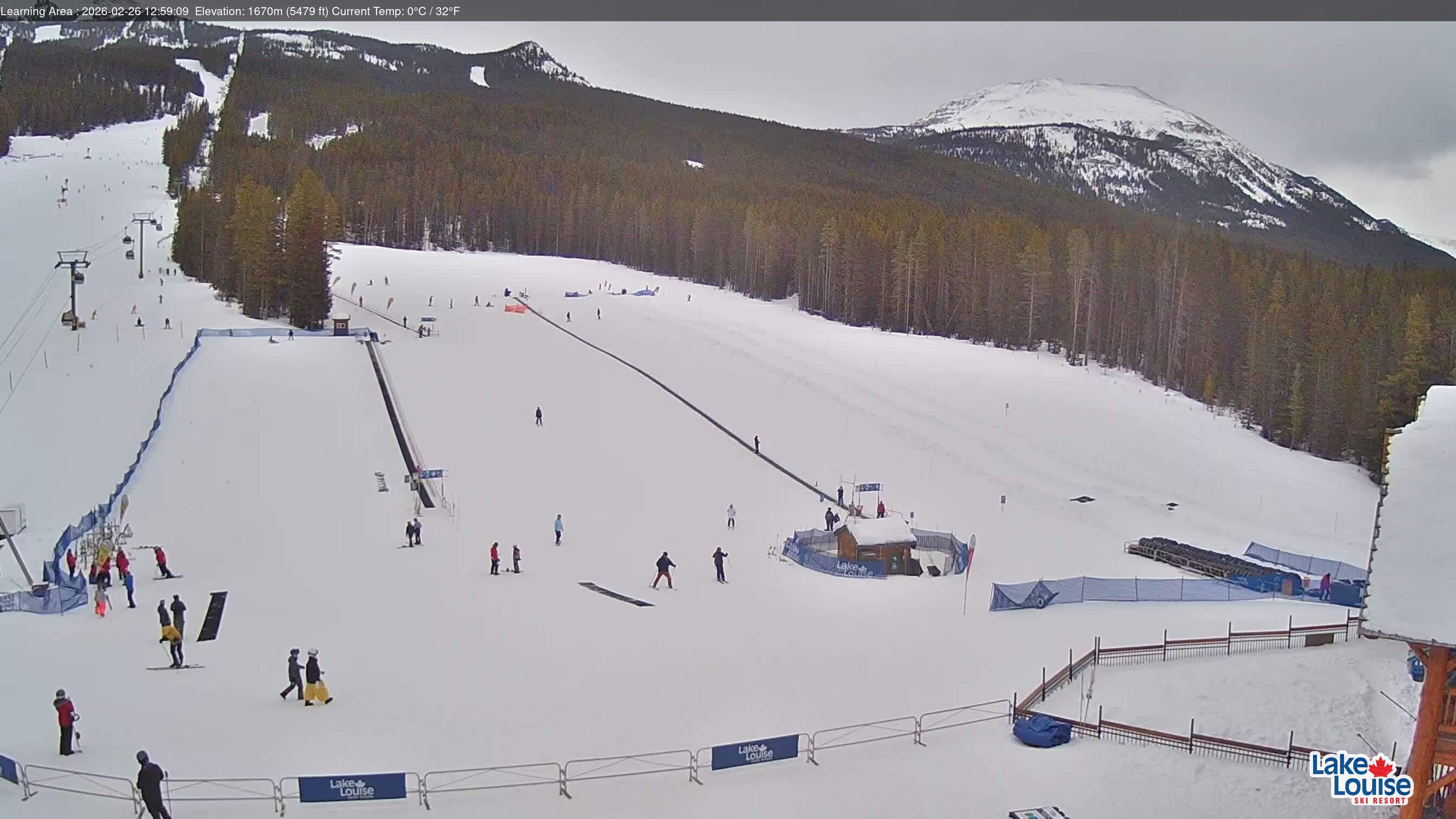 Learning Area & Tube Park