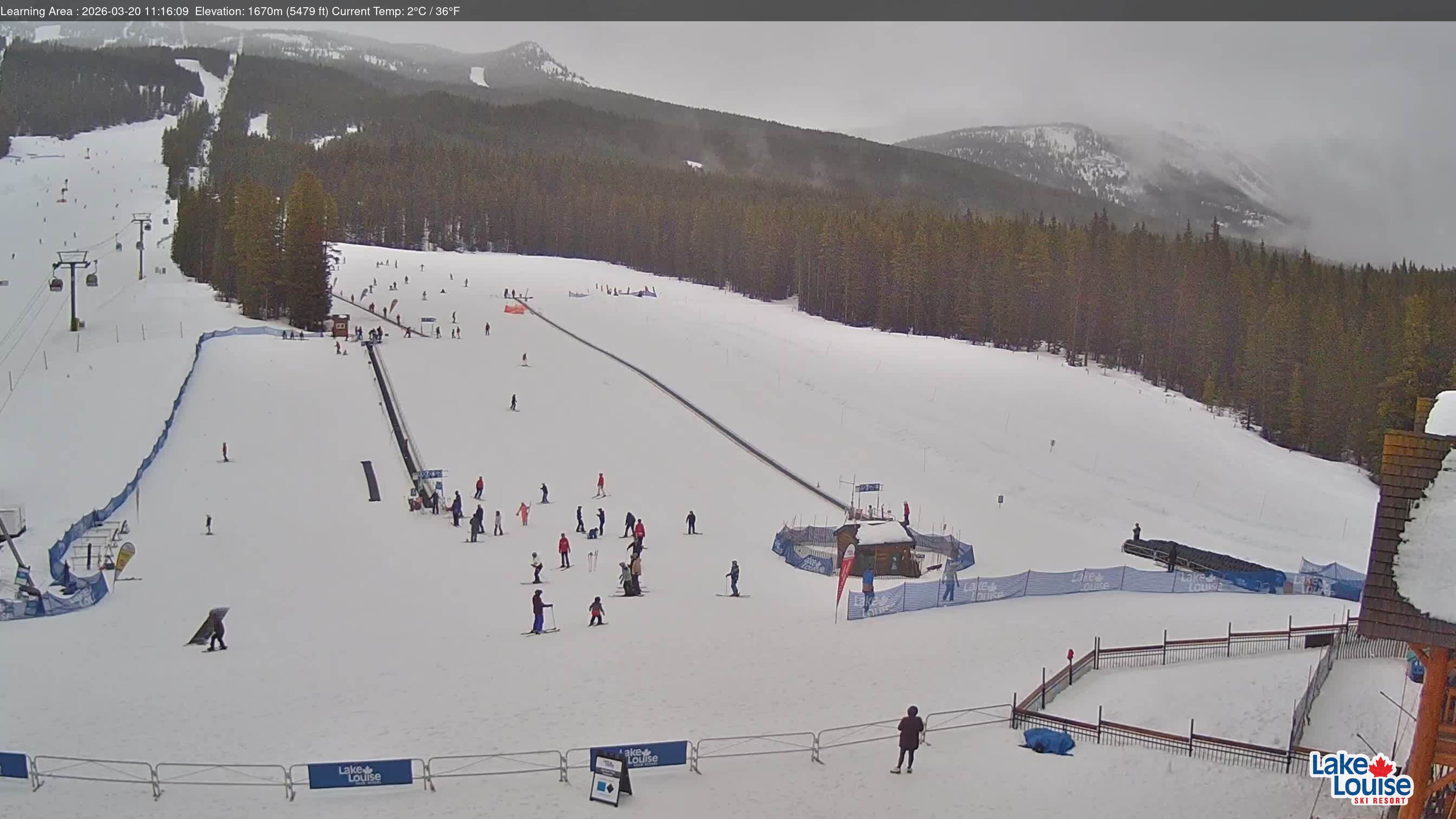 Learning Area & Tube Park