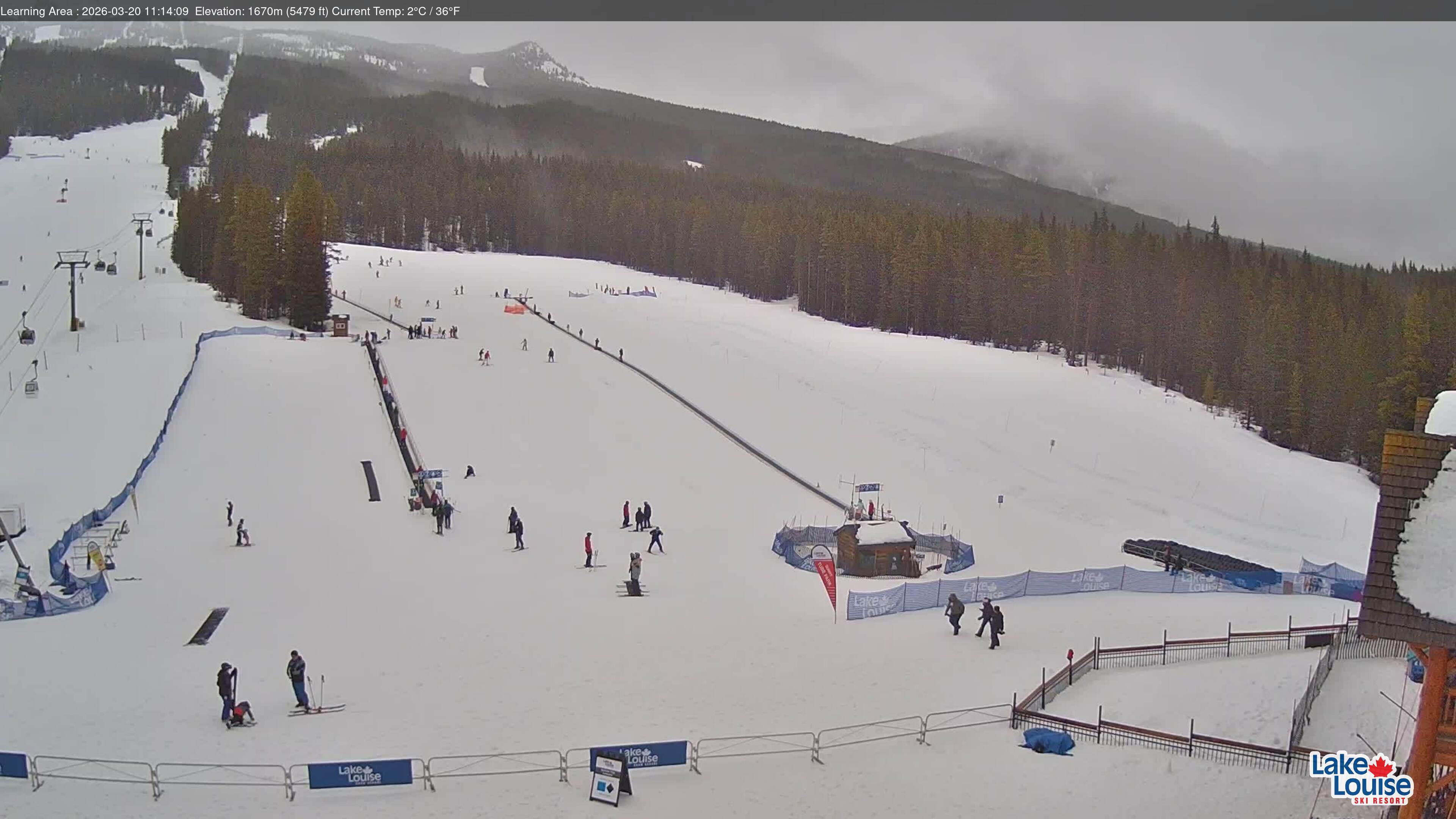 Learning Area & Tube Park