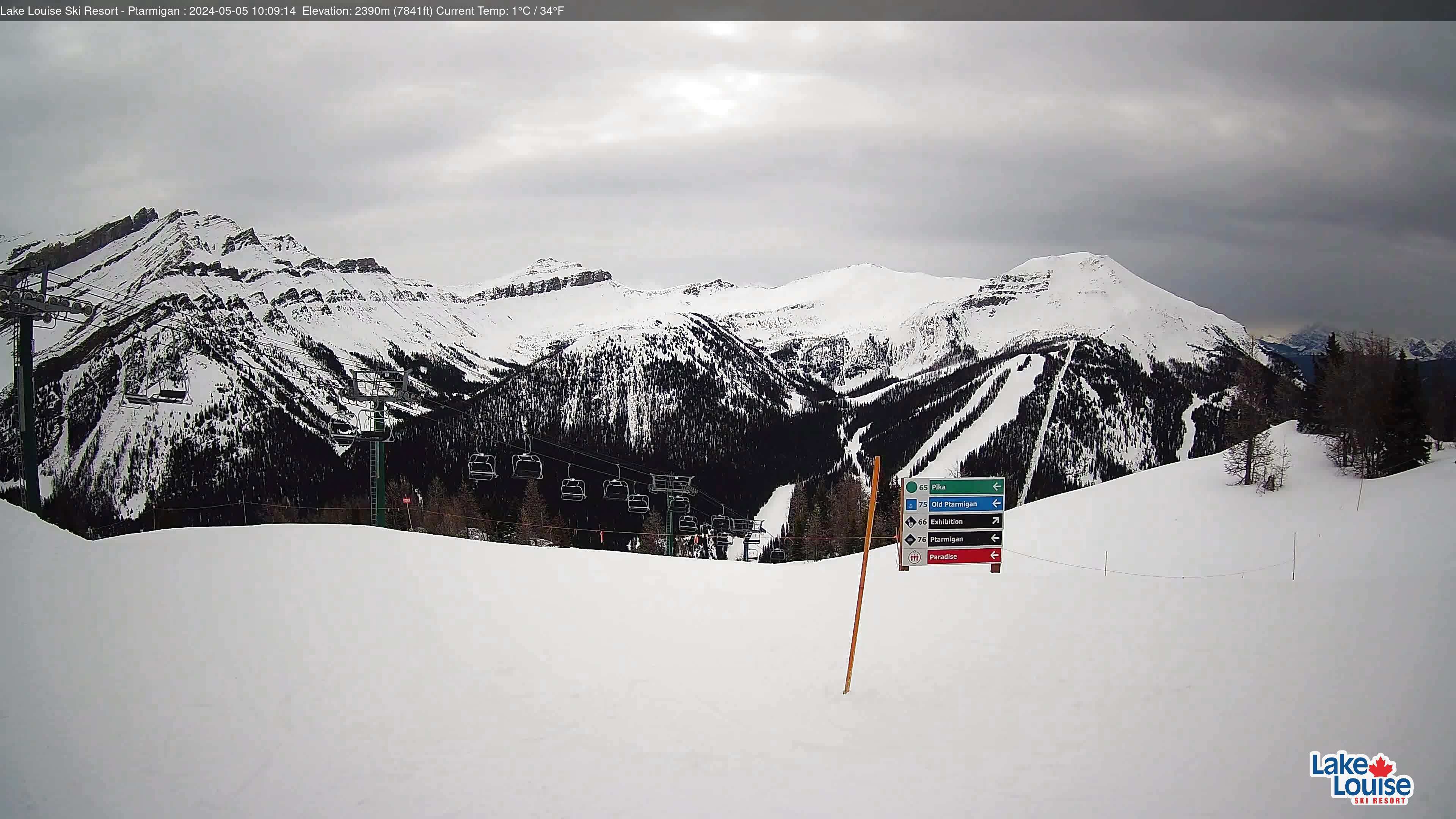 Giftig platform Monet Webcams | The Lake Louise Ski Resort & Summer Gondola