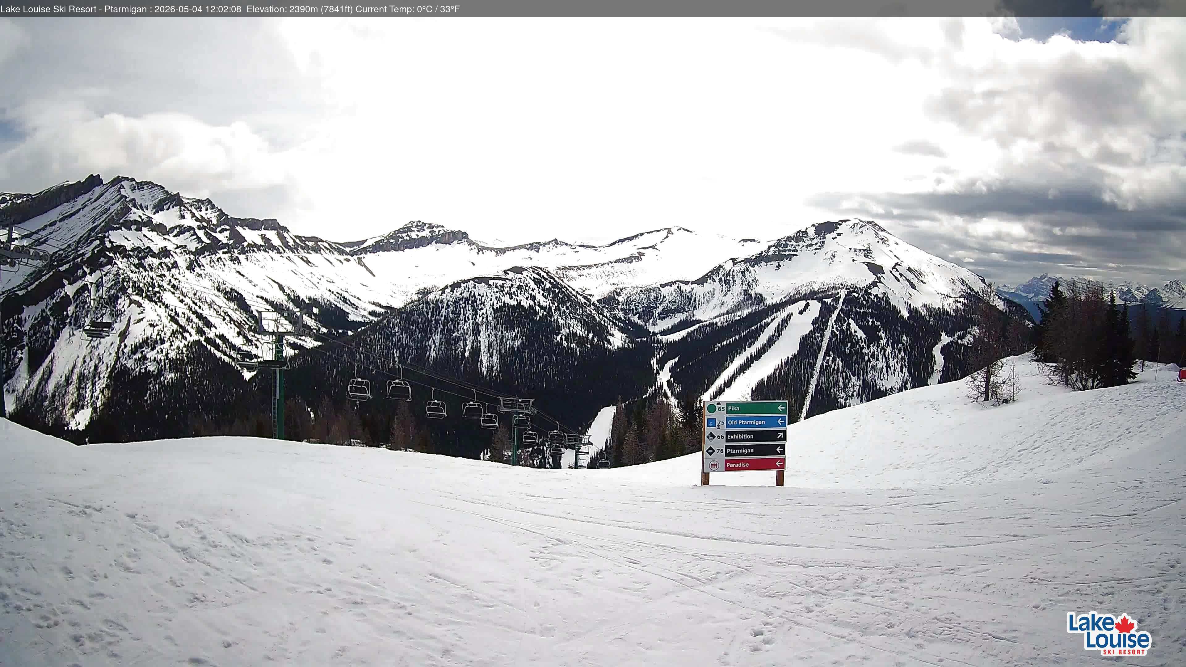 Ptarmigan Chair