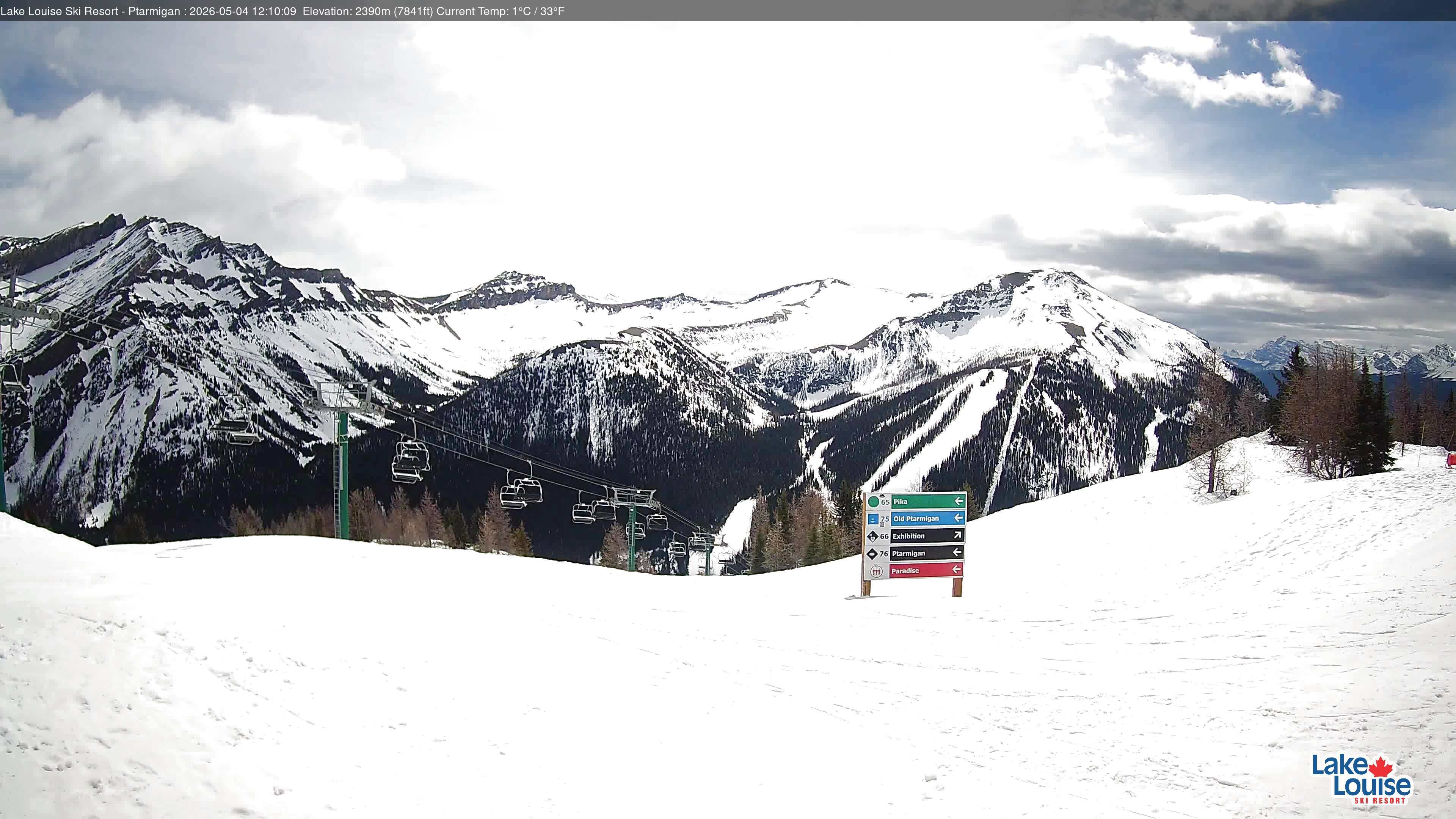 Ptarmigan Chair