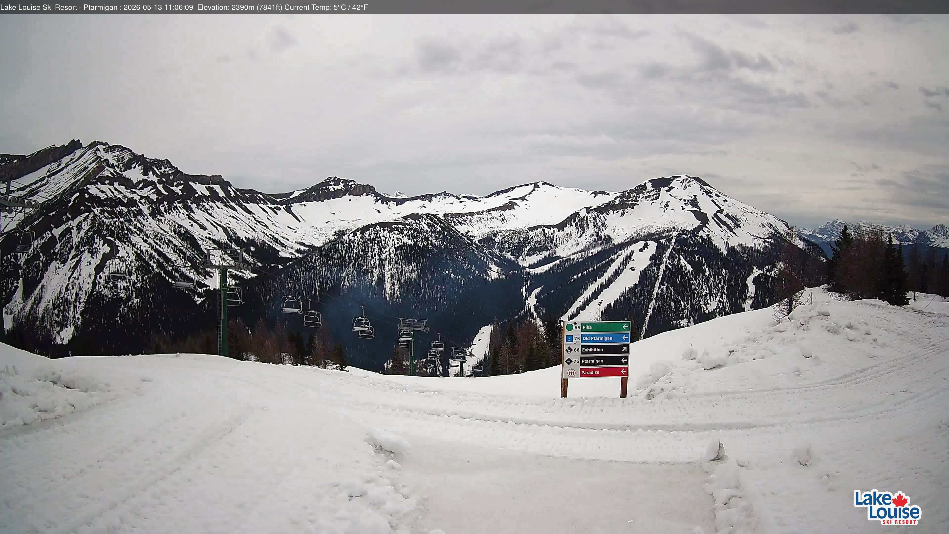 Ptarmigan Chair