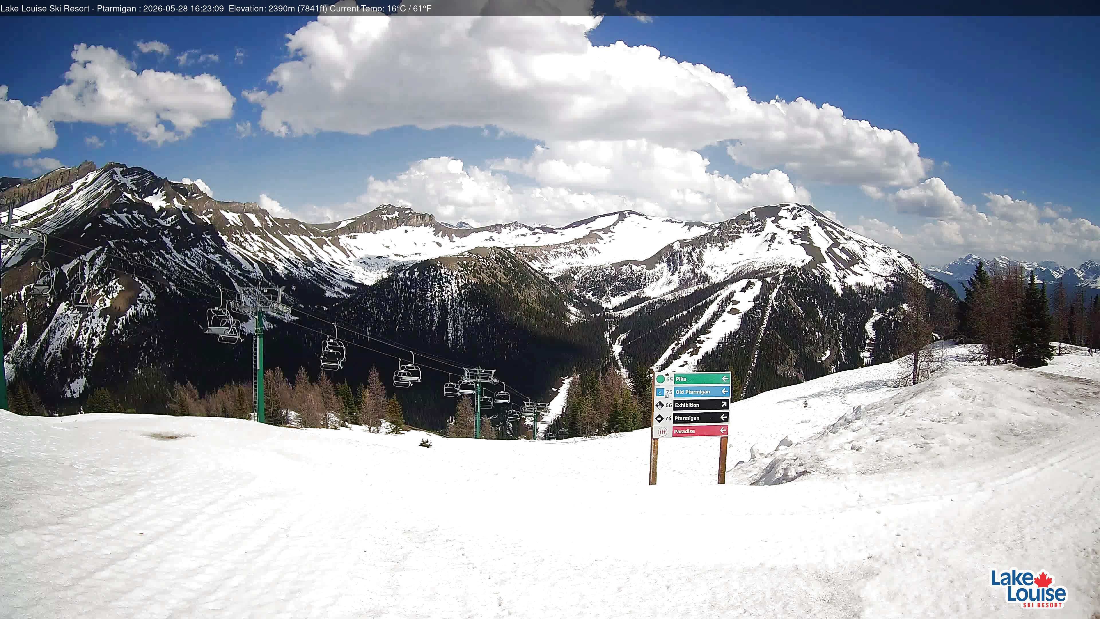 Ptarmigan Chair