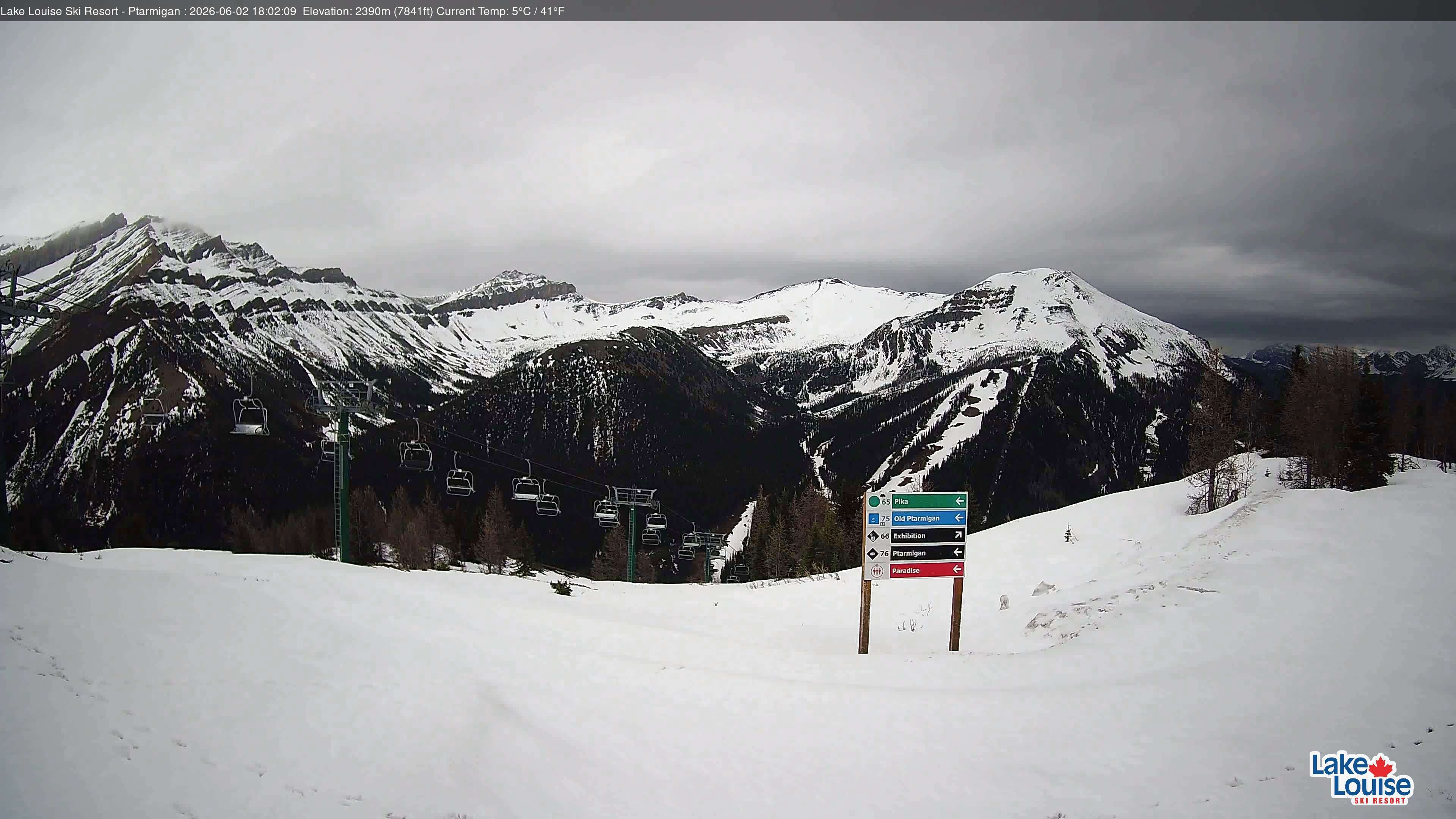 Ptarmigan Chair