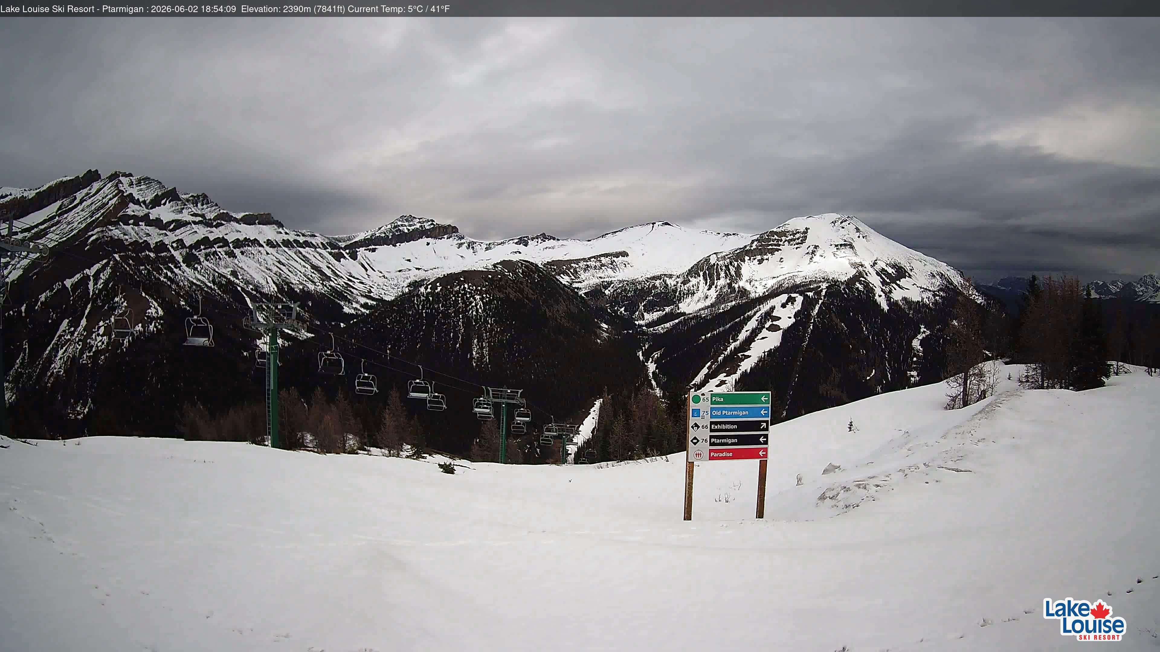 Ptarmigan Chair
