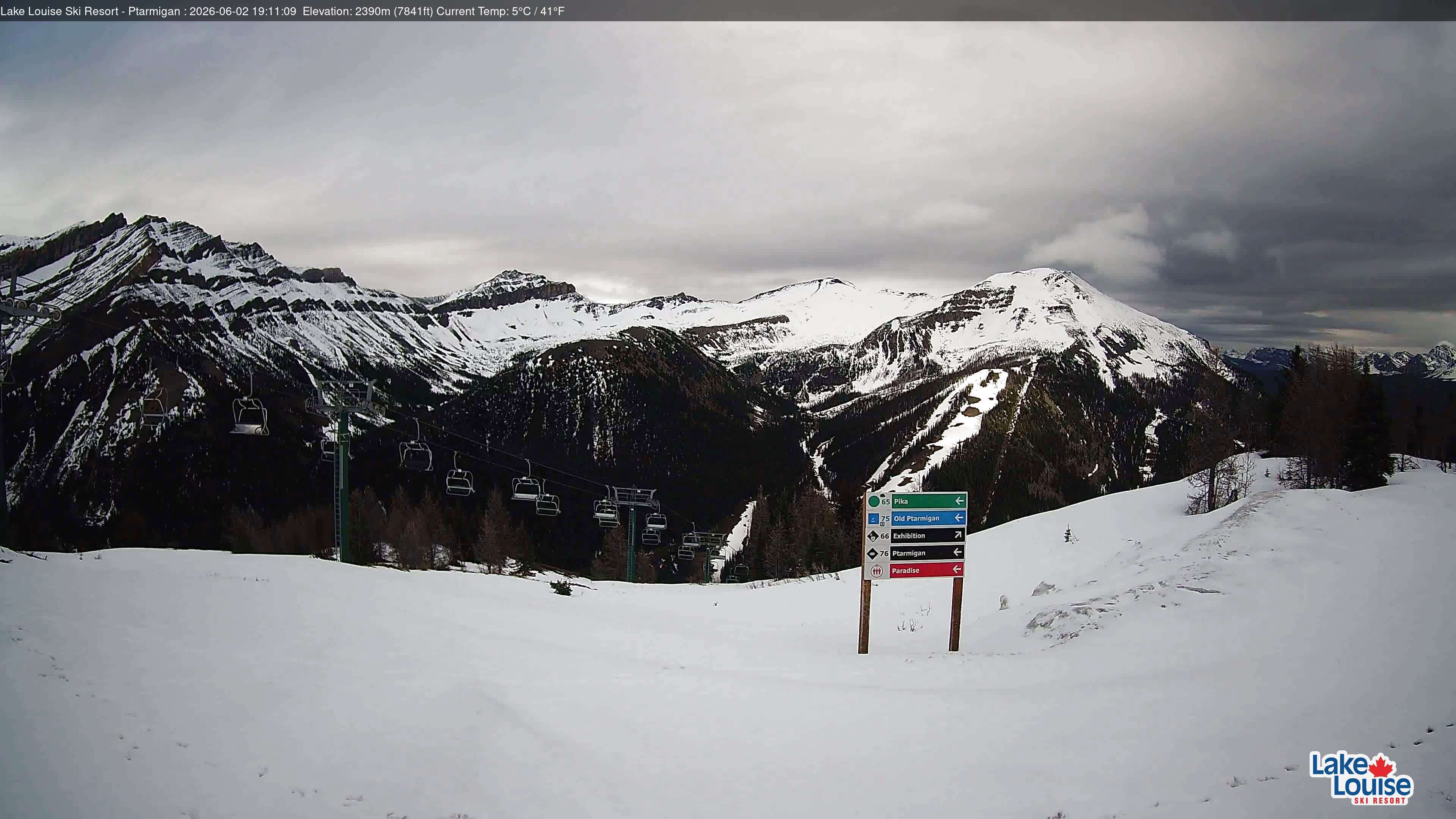 Ptarmigan Chair