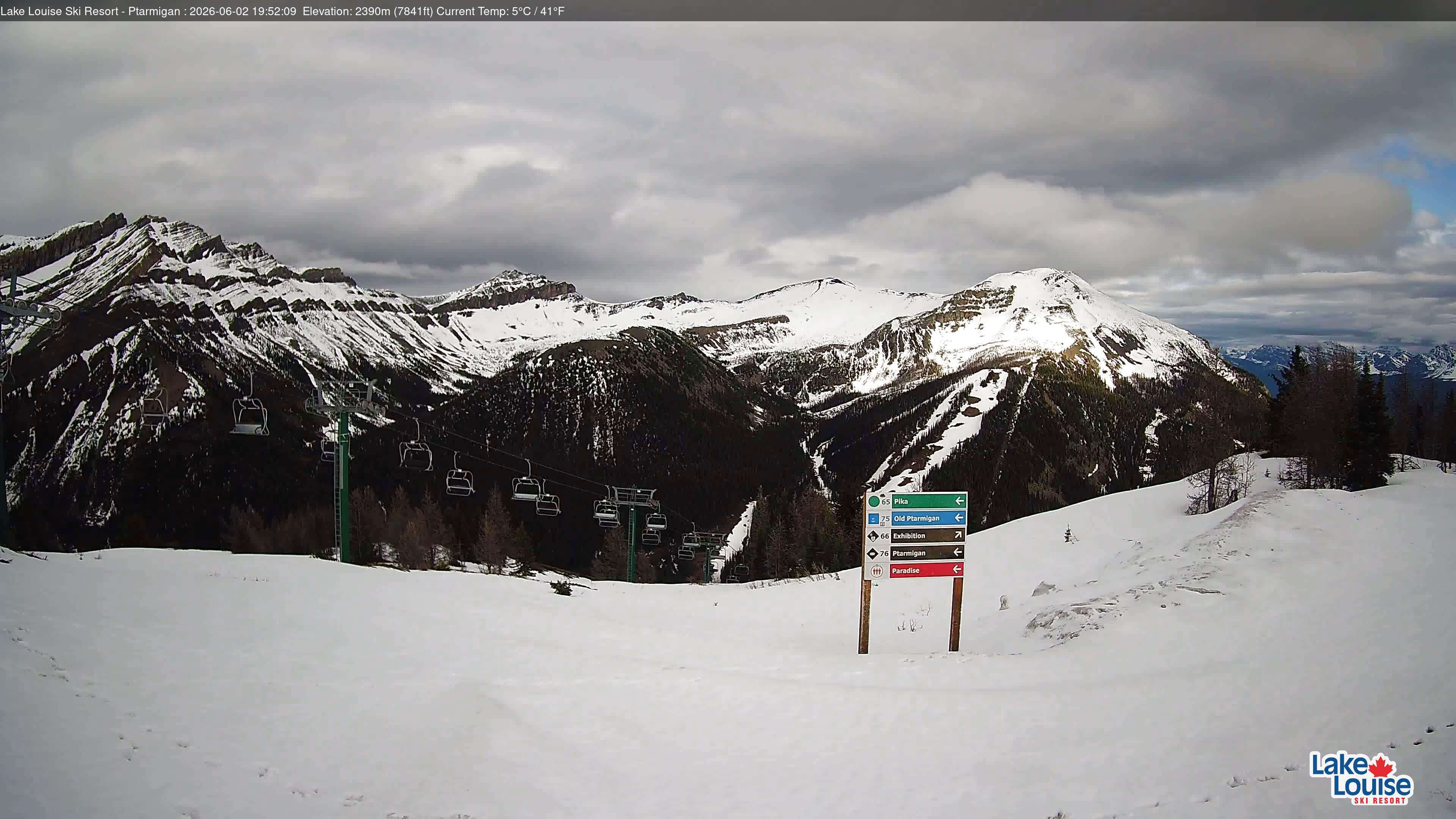 Ptarmigan Chair