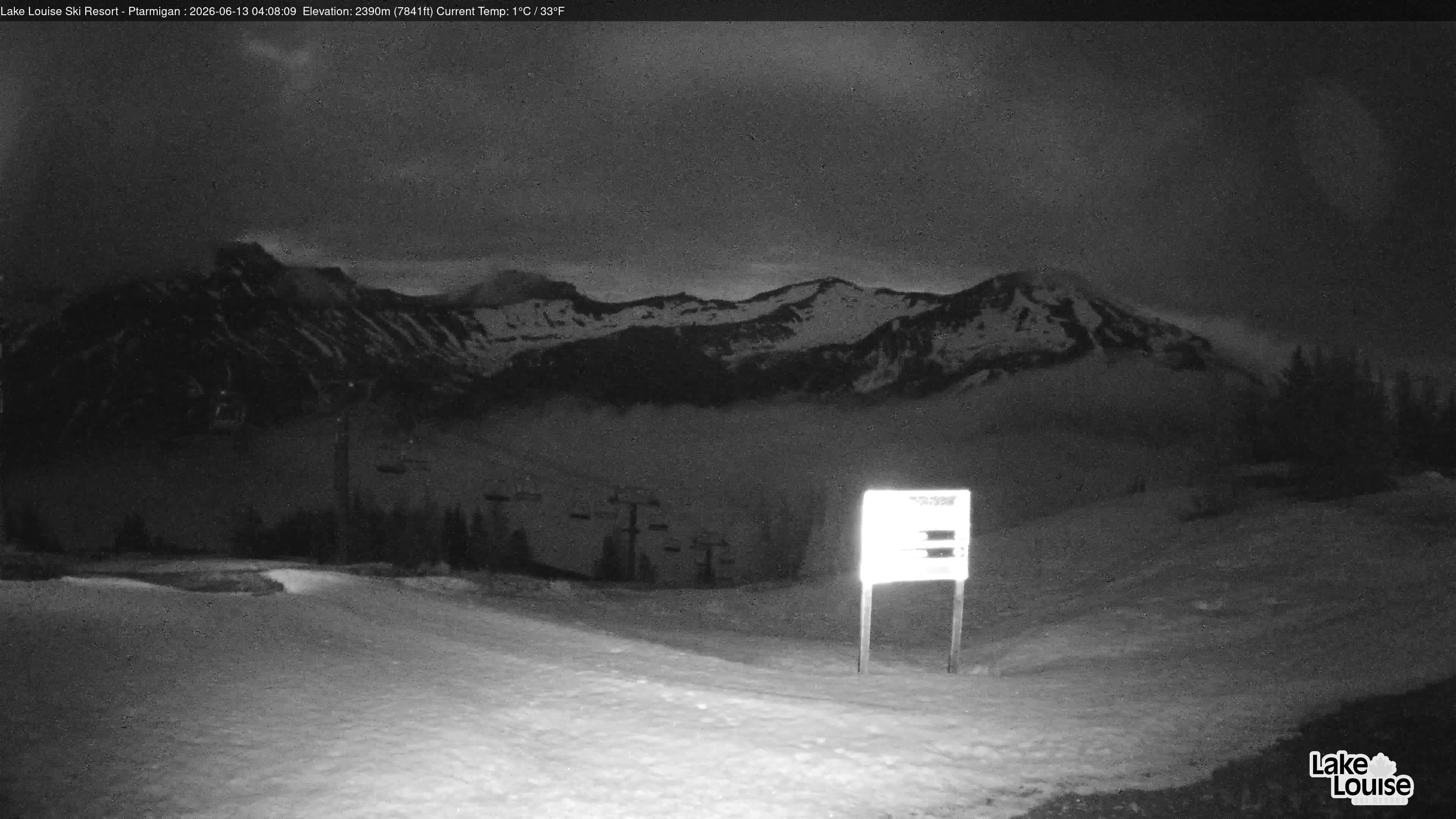 Ptarmigan Chair