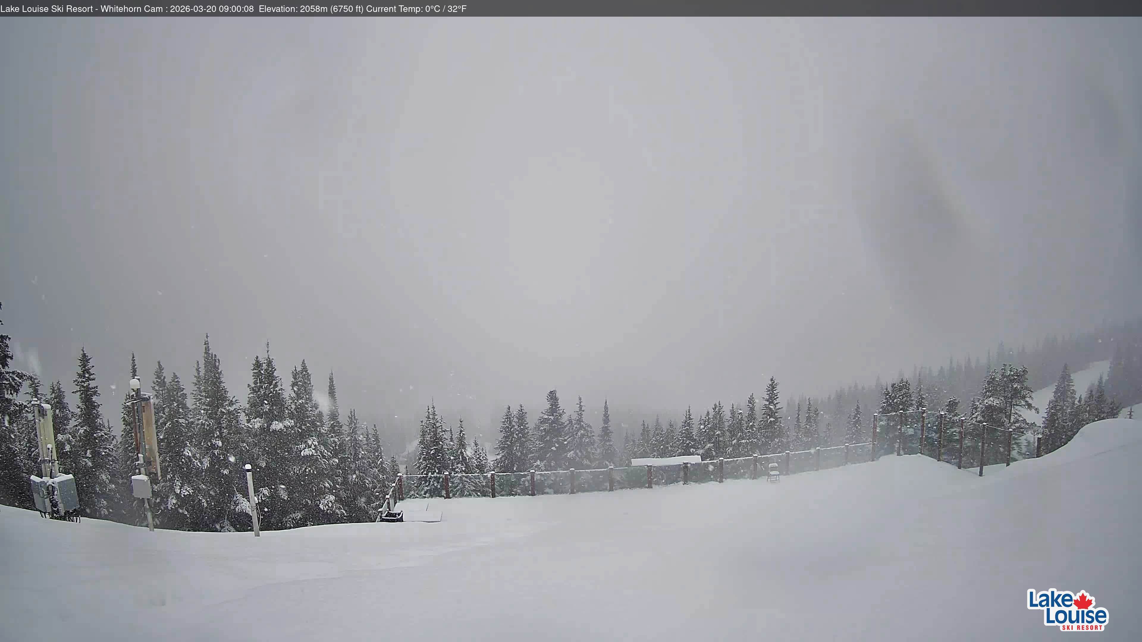 Whitehorn Bistro Patio